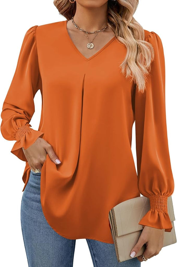 Women's 2024 Long Sleeve Tops Dressy Casual V Neck Tunic Shirts Loose Chiffon Work Blouse